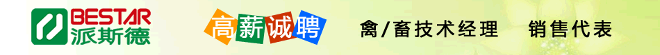 ũҵ�˲�