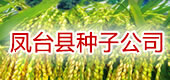 凤台县种子公司